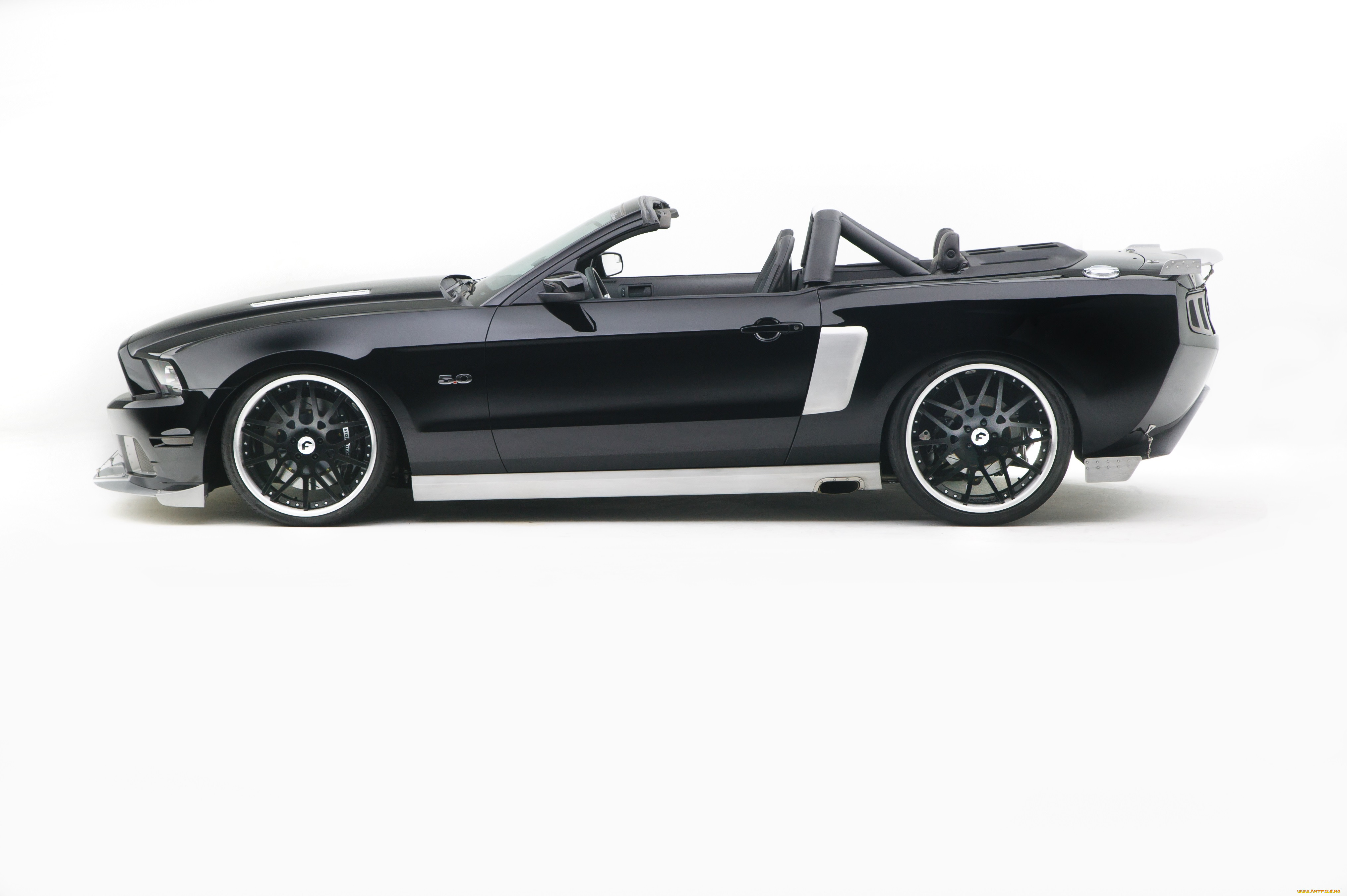 , mustang